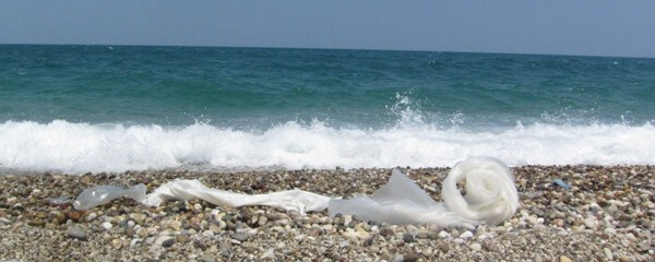 Yakınlar : Yalıköy