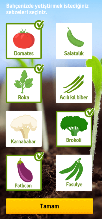 benim_bahcem_fundalina