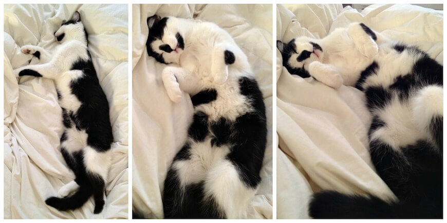 Sleeping