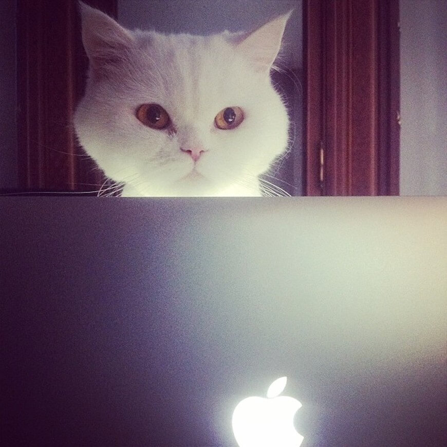 MacBook_Air