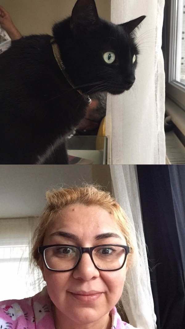 Frontback