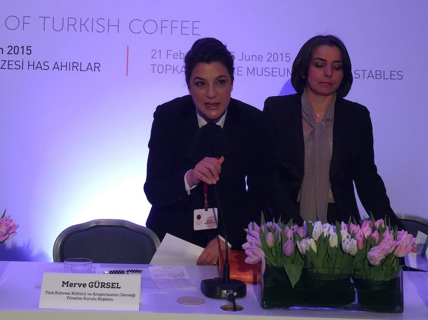 Merve_Gursel