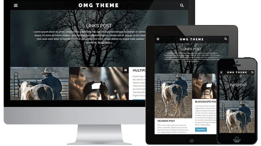 omg_wordpress_temasi