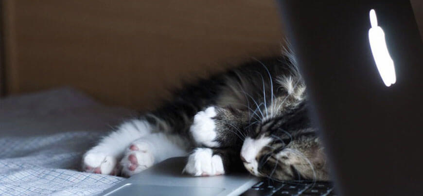 Mac Kullanıcılarının Bayılacağı İpuçları