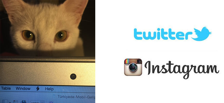 Twitter mı & Instagram mı?