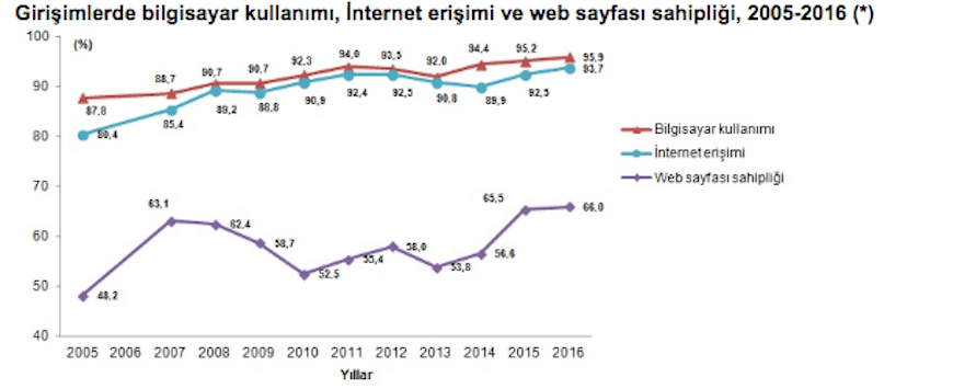 girisimlerin_bilgisayar_kullanimi
